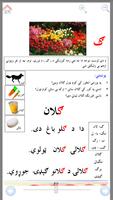 Afghan School Textbooks Pashto captura de pantalla 2