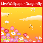 Dragonfly Live Wallpaper 아이콘