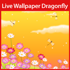 Dragonfly Live Wallpaper icône