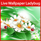 Ladybug Live Wallpaper icône
