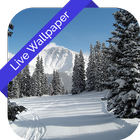 3D Winter Cube Live Wallpaper icon