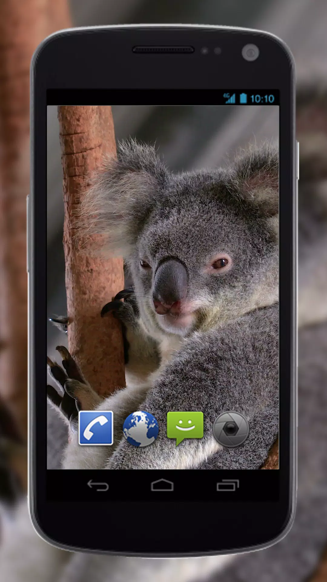 4K Cute Koala Video Live Wallp APK for Android Download 4K Cute Koala Video Live Wallp APK for Android Download