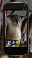 4K Cute Koala Video Live Wallp capture d'écran 2