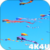4K Flying Colorful Kites Video Live Wallpaper APK