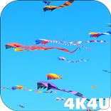 4K Flying Colorful Kites Video Live Wallpaper
