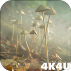4K Mushrooms and Smoke Live Video Wallpaper icône