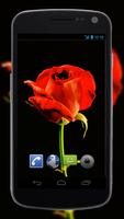 4K Red Rose Video Live Wallpaper ภาพหน้าจอ 3