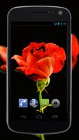 4K Red Rose Video Live Wallpaper โปสเตอร์