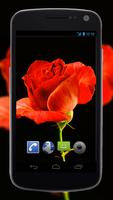 4K Red Rose Video Live Wallpaper ภาพหน้าจอ 1