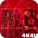 4K Red Colored Stylish Video Live Wallpaper APK
