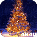 4K Christmas Tree Live Wallpap APK