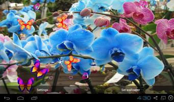 Orchid Live Wallpaper - Screen Lock, Sensor, Auto पोस्टर