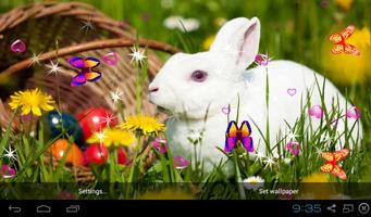 برنامه‌نما Rabbit Live Wallpaper - Screen Lock, Sensor, Auto عکس از صفحه