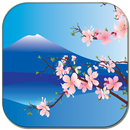 樱花 APK