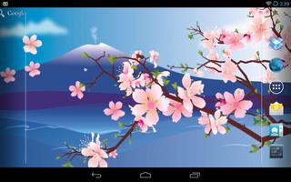 Sakura Affiche