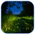 Fireflies 3D