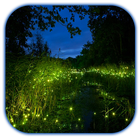 آیکون‌ Fireflies 3D