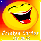 Chistes Cortos Variados ไอคอน