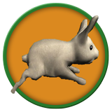 Run Rabbit Run icon