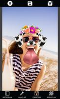 Photo Face Camera Filters ポスター