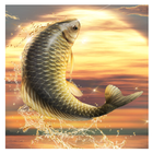 Big Fish King icon