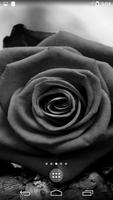 Black Rose Live Wallpaper Affiche