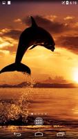 Dolphins 4K Live Wallpaper ภาพหน้าจอ 1