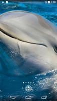 برنامه‌نما Dolphins 4K Live Wallpaper عکس از صفحه