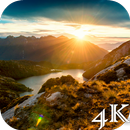 Live Wallpapers 4K APK