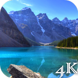 4K Live Wallpapers أيقونة