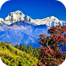 Nepal Live Wallpaper APK