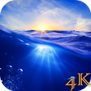 Ocean Live Wallpaper 4K APK