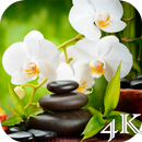 Orchid 4K Live Wallpaper APK