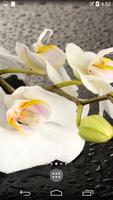 Orchid 4K Live Wallpaper captura de pantalla 3
