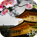 Sakura Live Wallpaper 4K APK