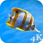 Sea Life 4K Wallpapers icon