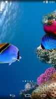 Sea Life 4K Wallpapers Affiche