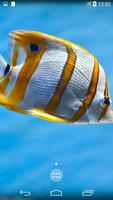 Sea Life 4K Wallpapers captura de pantalla 1