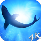 Shark 4K Live Wallpaper أيقونة