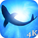 Shark 4K Live Wallpaper APK