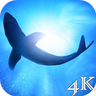 Shark 4K Live Wallpaper simgesi