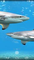 Shark 4K Live Wallpaper الملصق