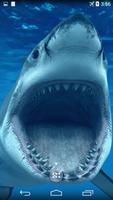 Shark 4K Live Wallpaper syot layar 1