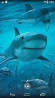 Shark 4K Live Wallpaper syot layar 2