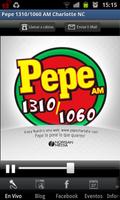 Pepe 1310/1060 AM الملصق