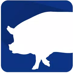 PigPlus アプリダウンロード