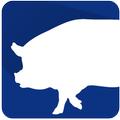 ”PigPlus