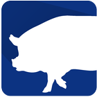 PigPlus ícone