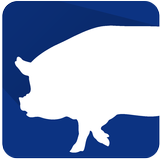 PigPlus icône