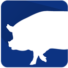 PigPlus icono